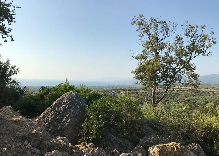 Olive Garden كيوبارِسِيا