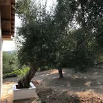 Casa vacanze Olive Garden *