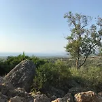 Olive Garden Kyparissia