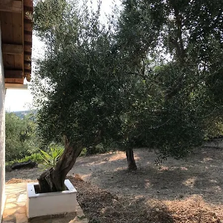 Casa de Férias Olive Garden *