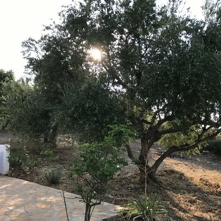 Casa de Férias Olive Garden