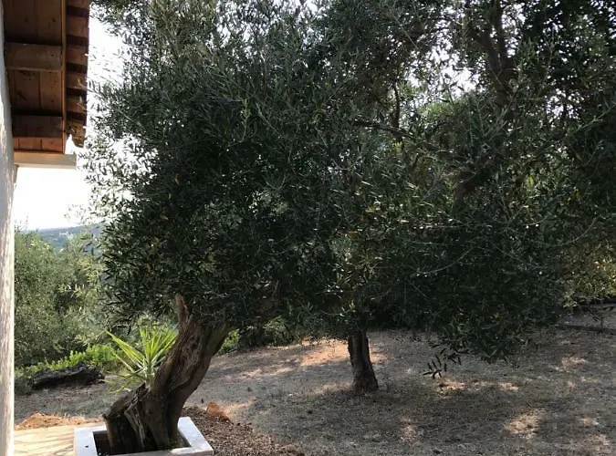 Ferienhaus Olive Garden *